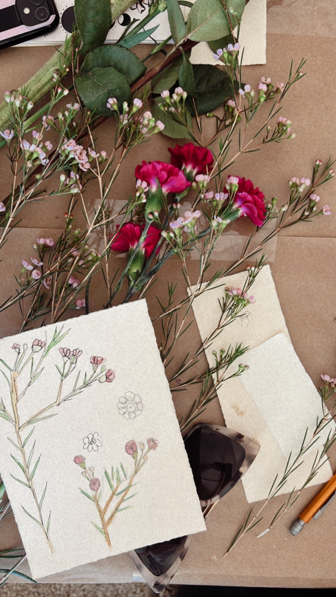 Drawing + Painting Botanicals Workshop, October 5, 10am-12:30pm