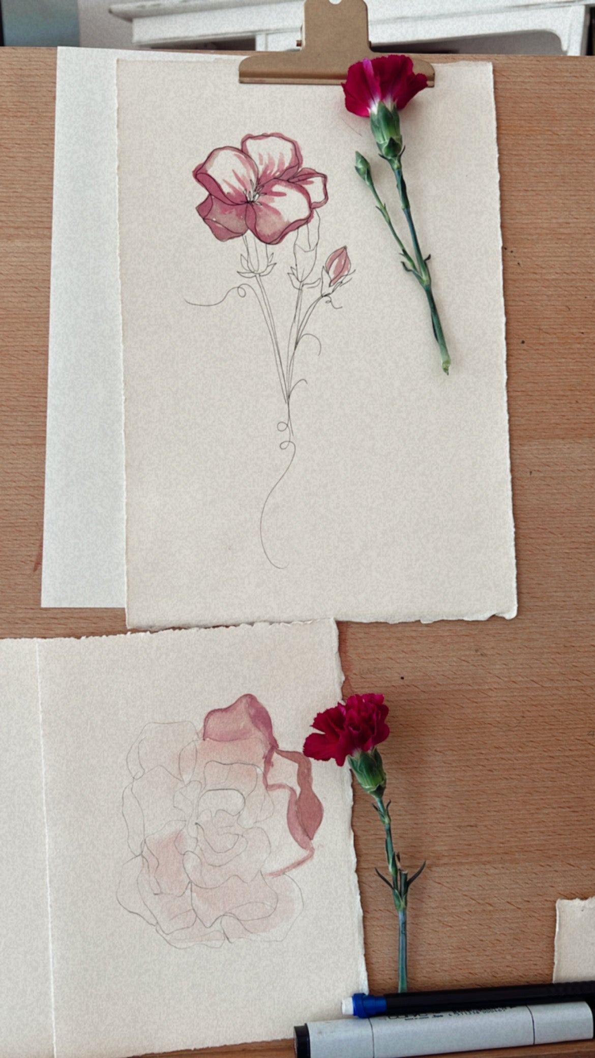 Drawing + Painting Botanicals Workshop, October 5, 10am-12:30pm