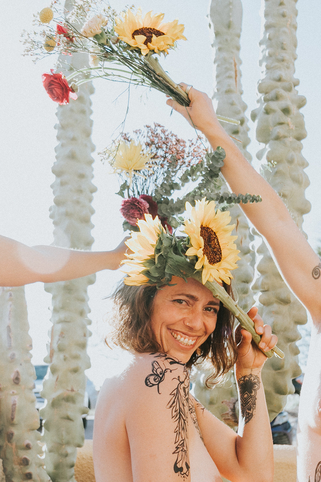 Ashley 1, Crooked Tooth Opening