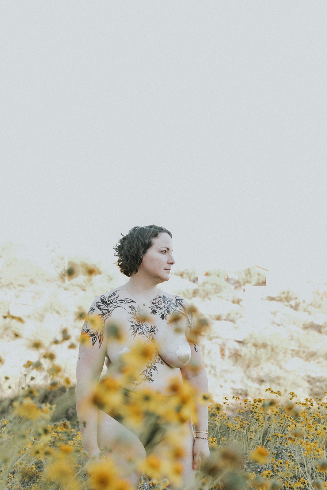 Laura 3, Crooked Tooth Opening