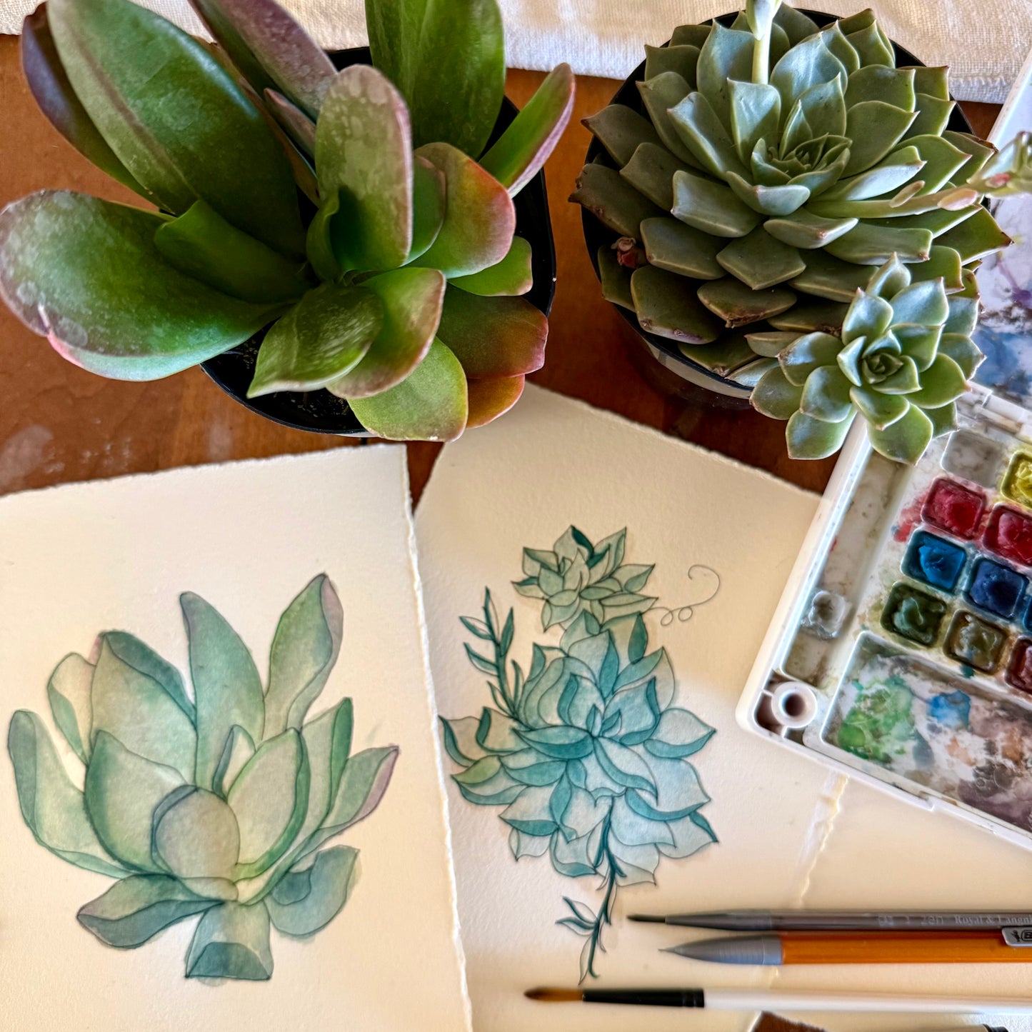 Painting Cacti & Succulents: Watercolor + Drawing Workshop, March 22, 10am-12:30pm