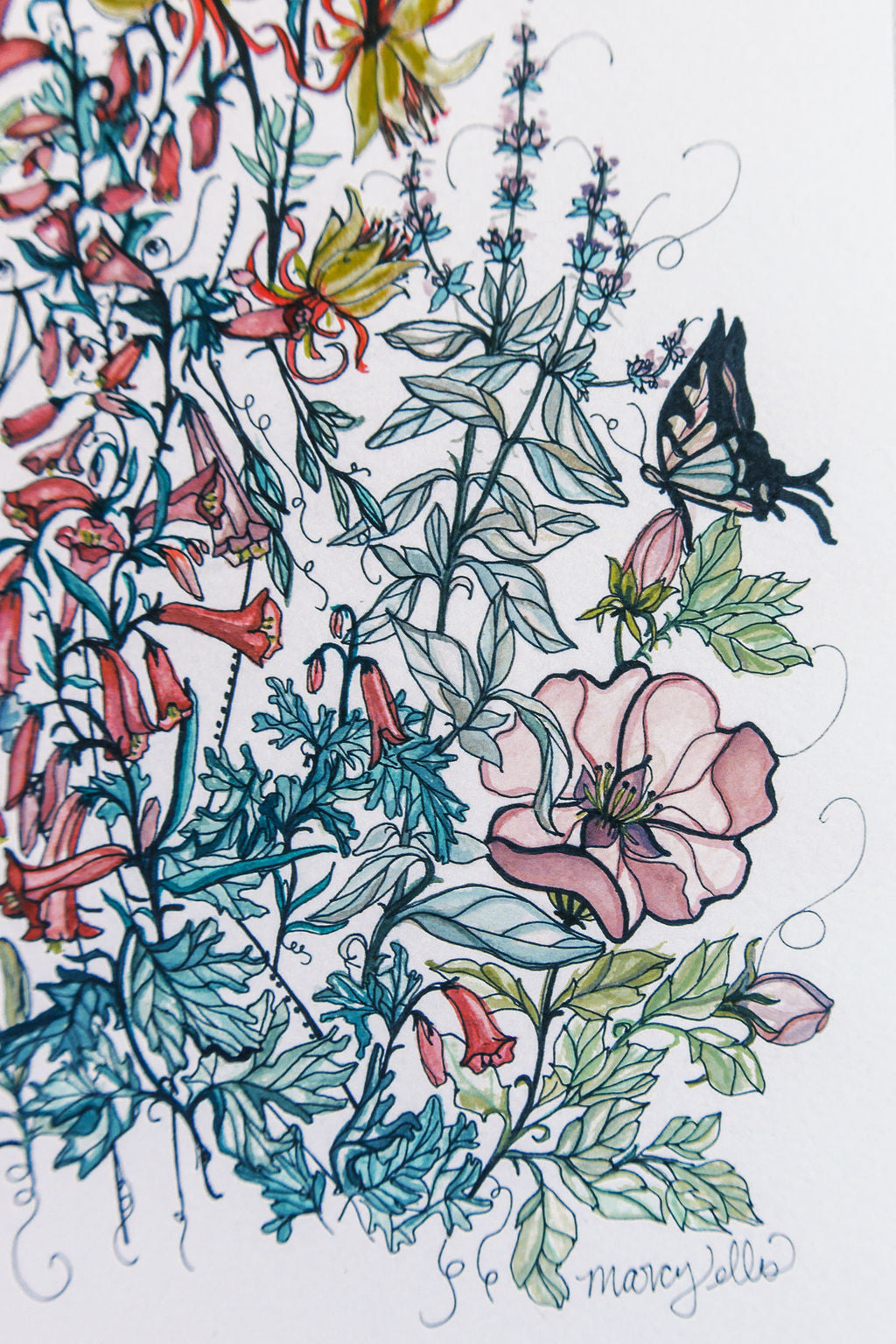 Full Bloom Art Print
