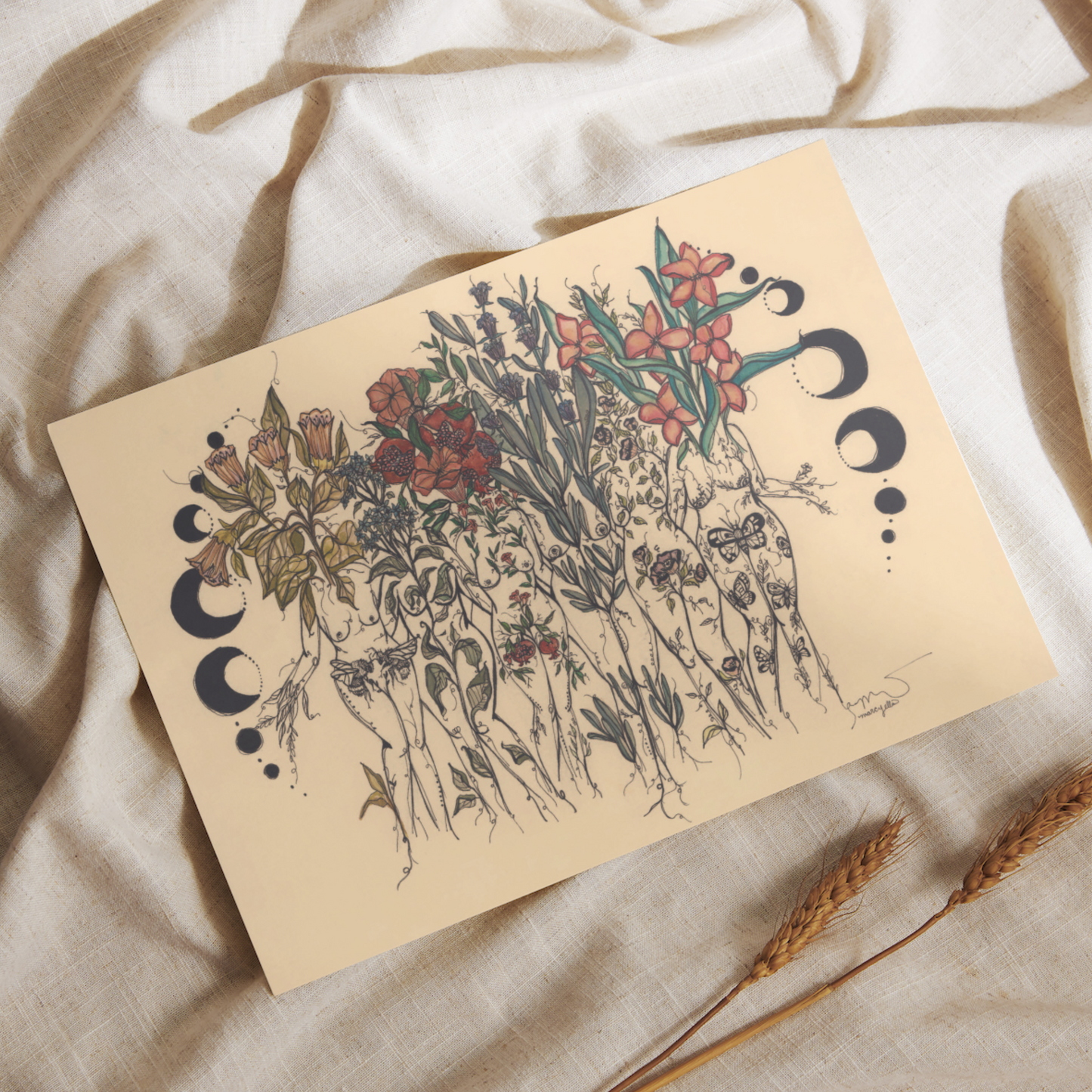 Phases of Reflection, Art Print
