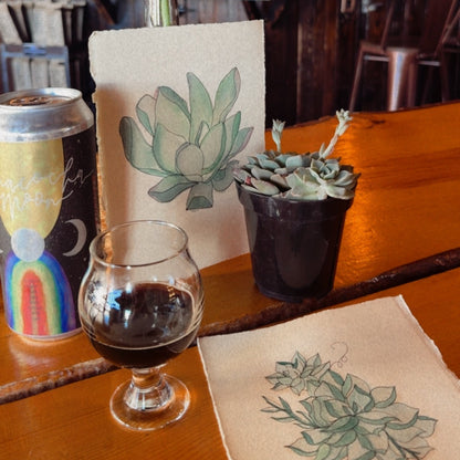 Painting Cacti & Succulents: Watercolor + Drawing Workshop at Crooked Tooth Brewery, Feb 15, 2-4pm