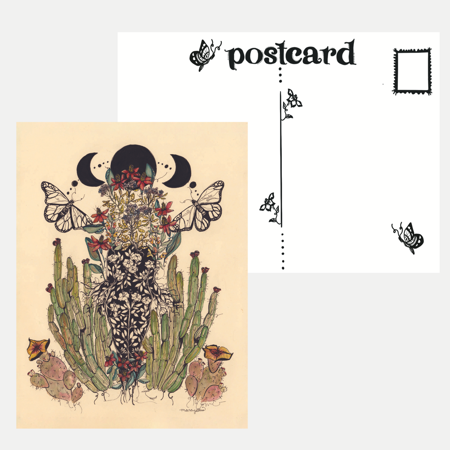 Set of 6 Postcards, Desert Sister Collection