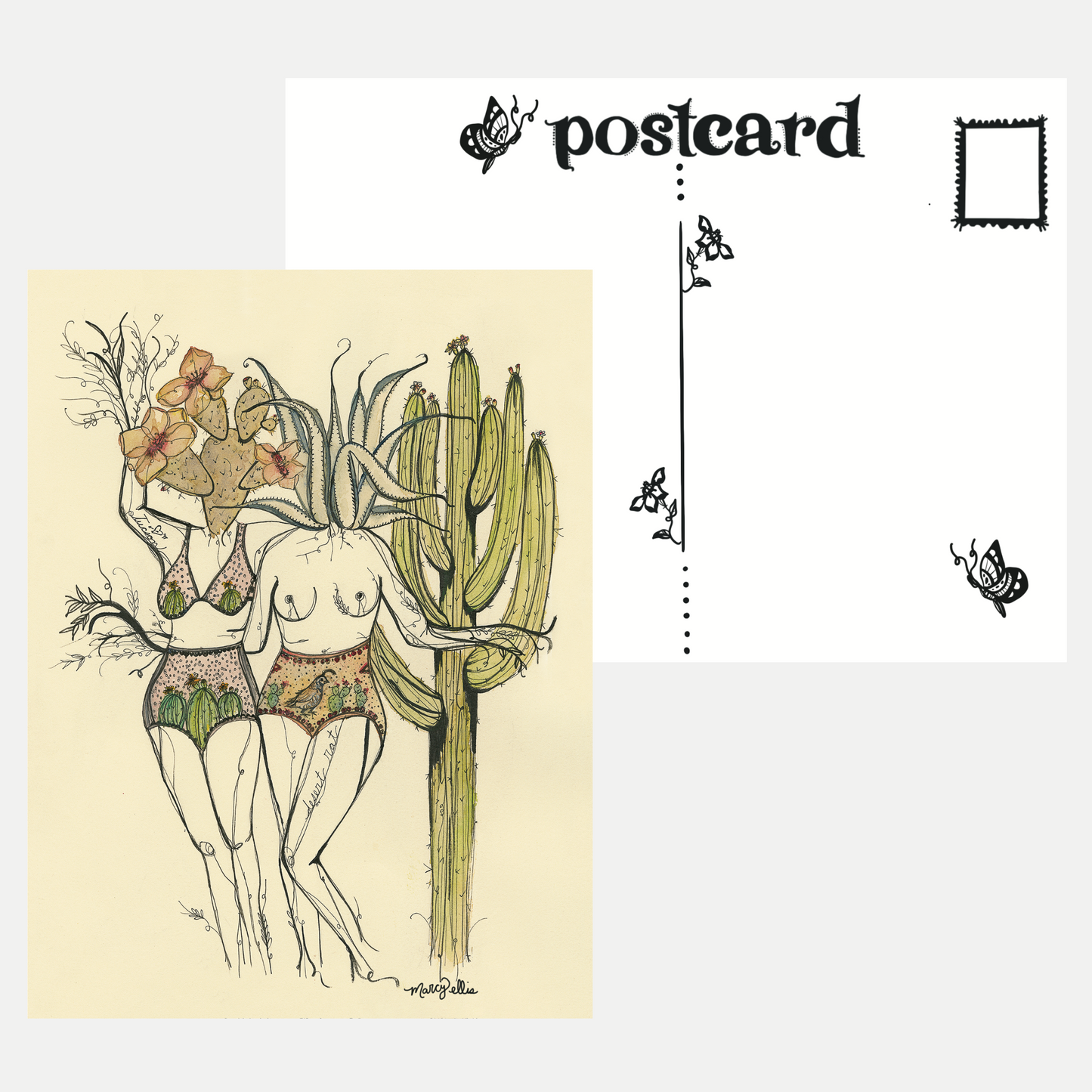 Set of 6 Postcards, Desert Sister Collection