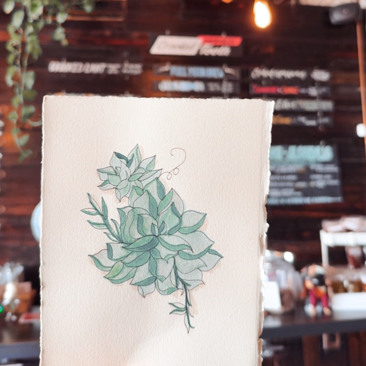 Painting Cacti & Succulents: Watercolor + Drawing Workshop at Crooked Tooth Brewery, Feb 15, 2-4pm