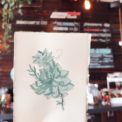 Painting Cacti & Succulents: Watercolor + Drawing Workshop at Crooked Tooth Brewery, Feb 15, 2-4pm