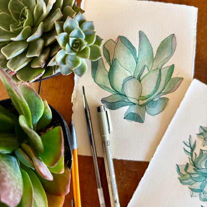 Painting Cacti & Succulents: Watercolor + Drawing Workshop, March 1, 10am-12:30pm