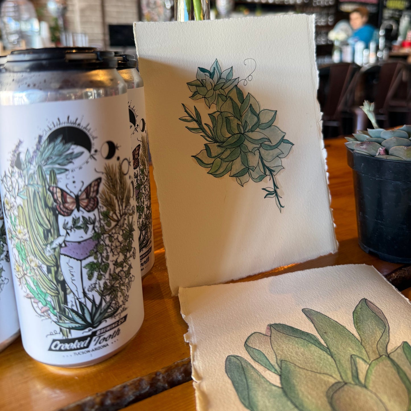 Painting Cacti & Succulents: Watercolor + Drawing Workshop at Crooked Tooth Brewery, Feb 15, 2-4pm